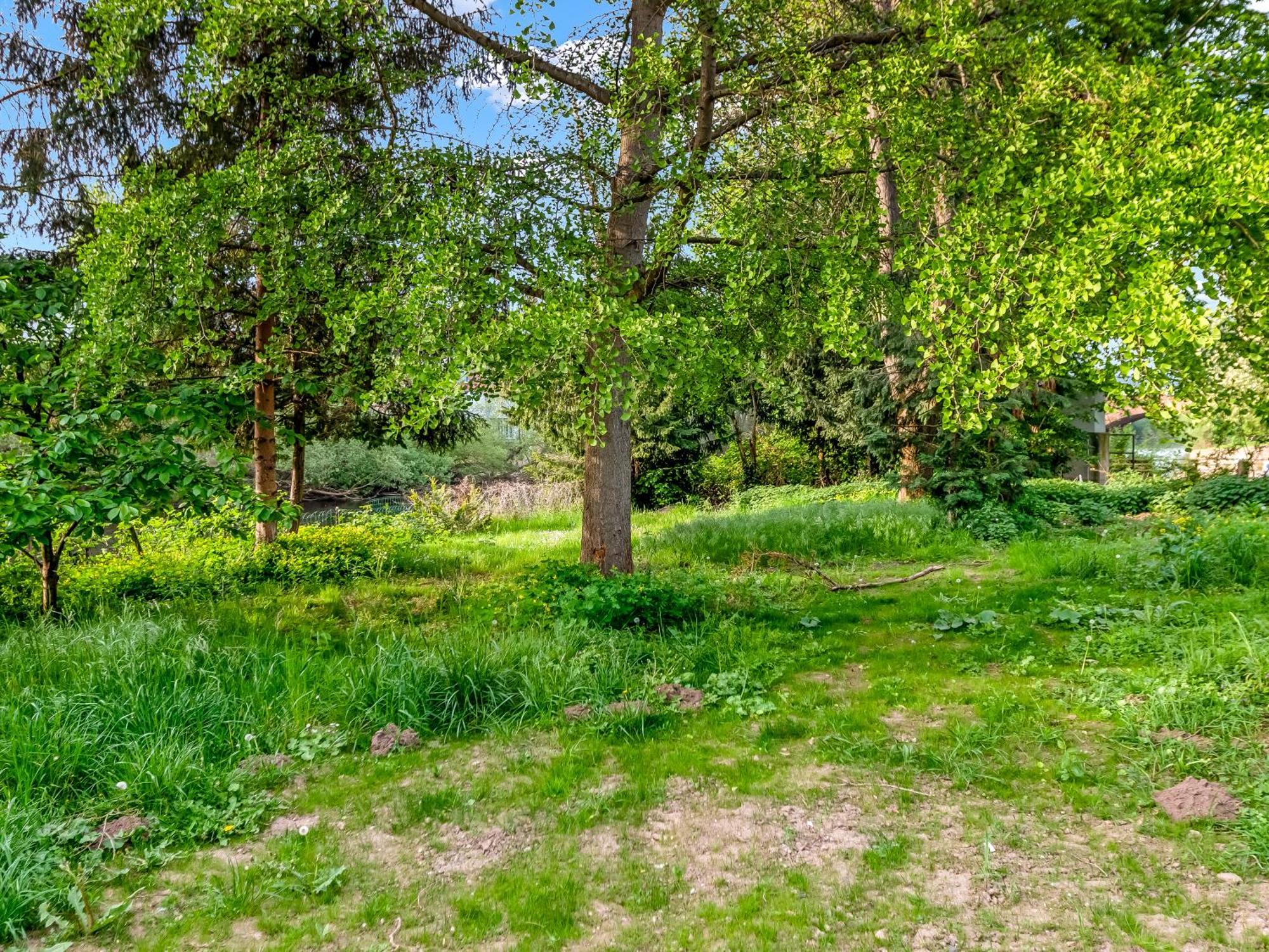 Altstadt Apartment Am Wasser Mit Parkplatz Und Riesigem Garten Bad Kreuznach Esterno foto